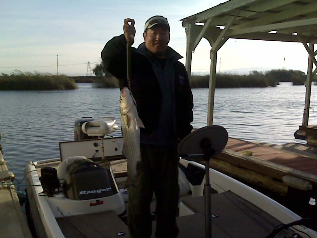Wook landed this 5lb striper off of a Halo colored 5 inch Yum money minnow at the California Delta, Sent from his BlackBerry® wireless device 10/2009